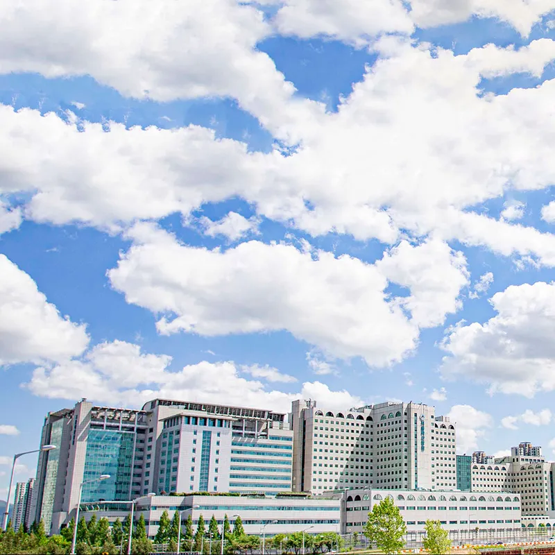 Asan Medical Center