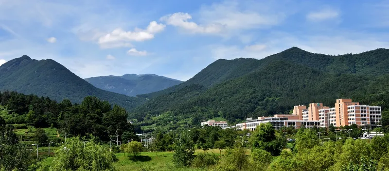 Waseon Jeonnam University Hospital
