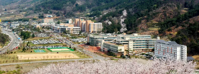Waseon Jeonnam University Hospital
