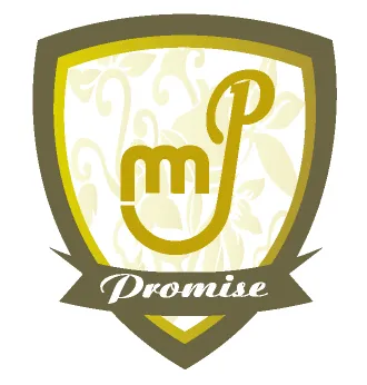 Promise Dental Clinic