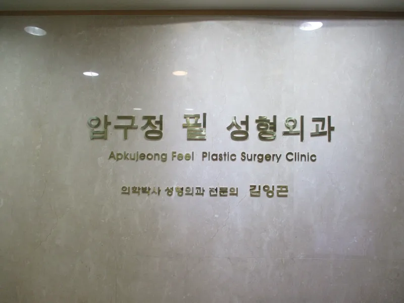 Apgujeong Pilseong Plastic Surgery Clinic