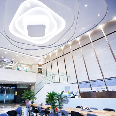 Wonjeong Wise Hospital