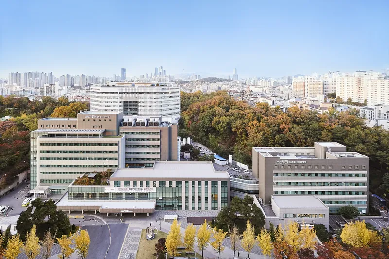 Boramae Hospital