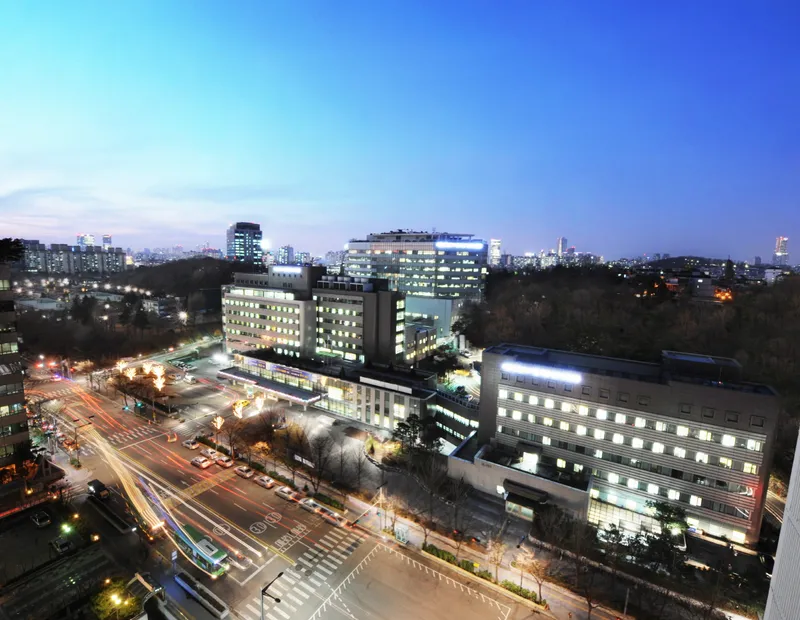 Boramae Hospital