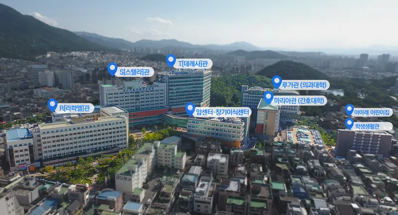 Daegu Catholic University Hospital