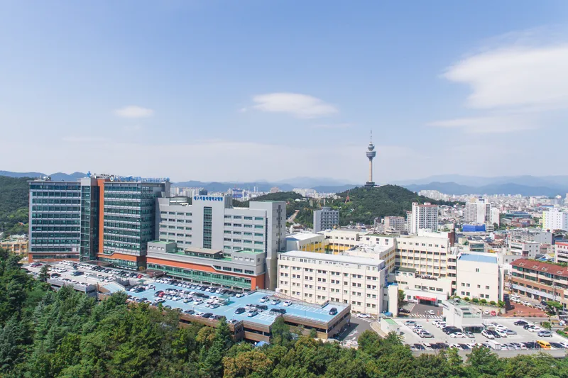 Daegu Catholic University Hospital