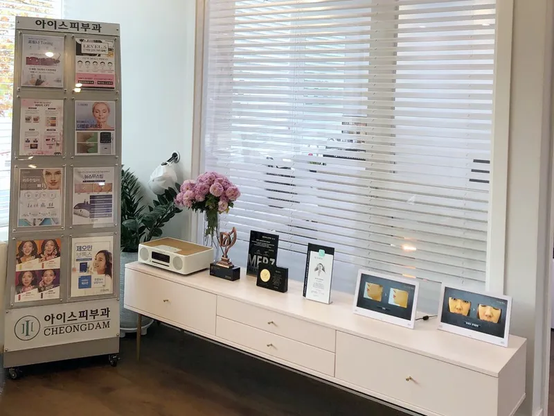 Cheongdam Ice Dermatology Clinic