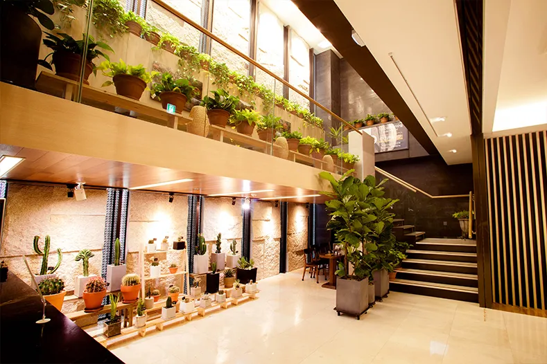 Sky Eye Clinic