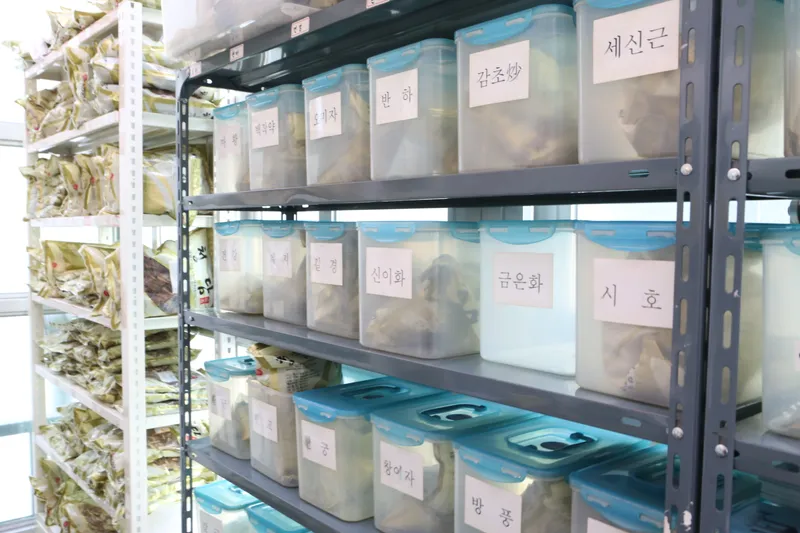 Youngdong Korean Medicine Clinic