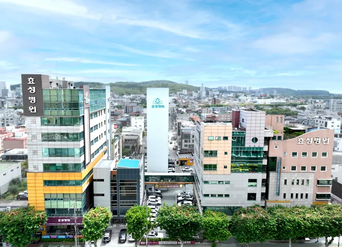 Hyo Sung Hospital