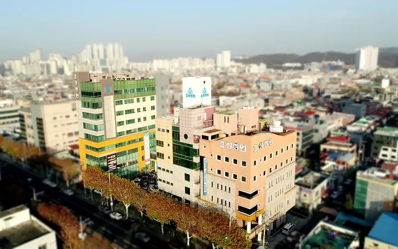 Hyo Sung Hospital
