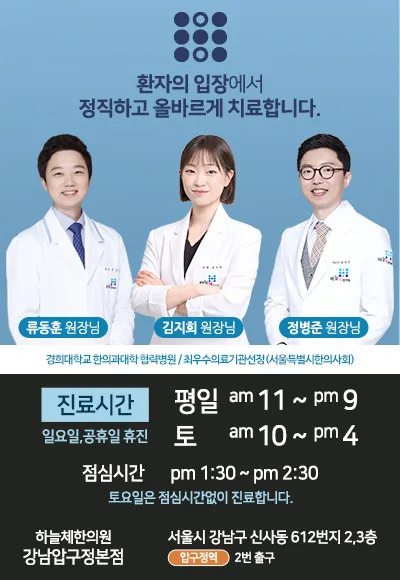 Haneulche Korean Medicine Clinic Gangnam Apgujeong Branch