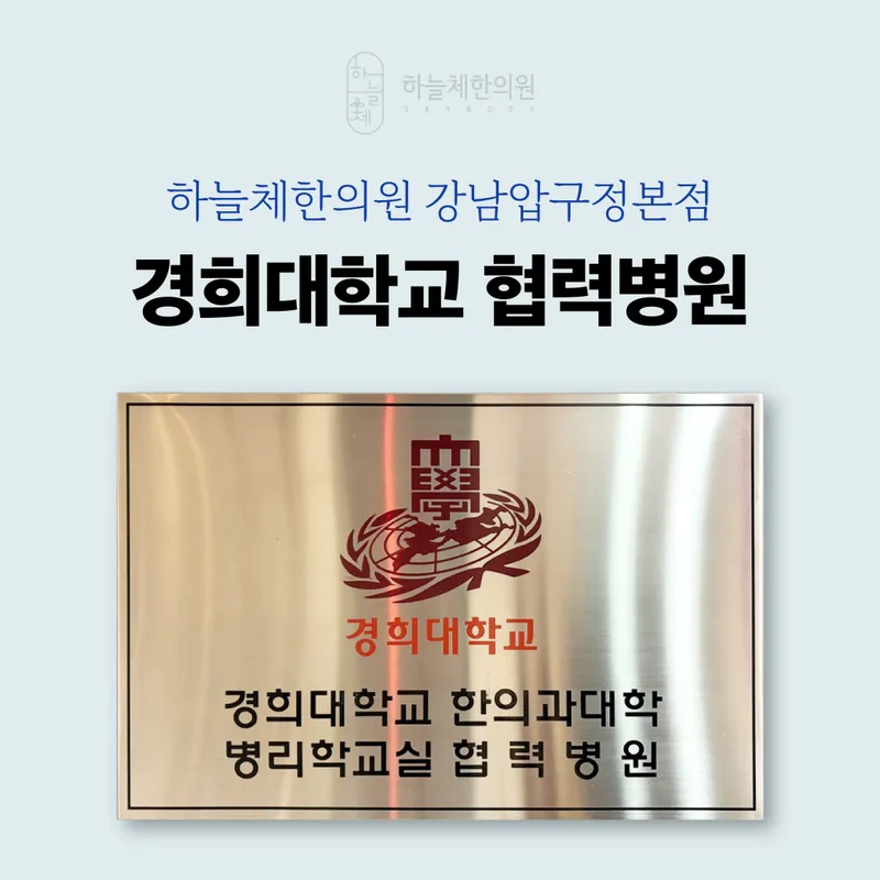 Haneulche Korean Medicine Clinic Gangnam Apgujeong Branch