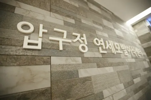 Apgujeong Yonsei Clinic