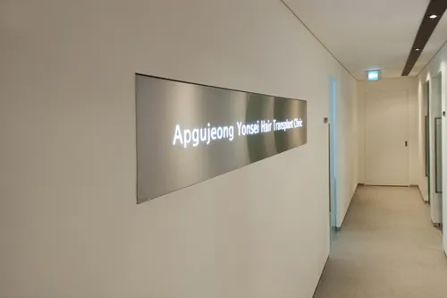 Apgujeong Yonsei Clinic