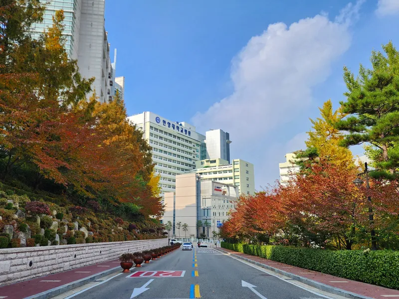 Hanyang University Hospital