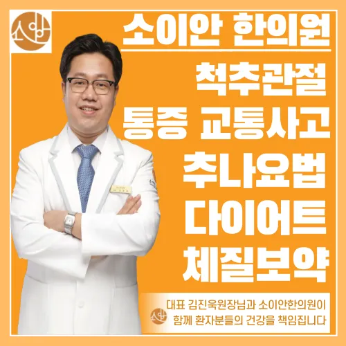 Soian Korean Medicine Clinic