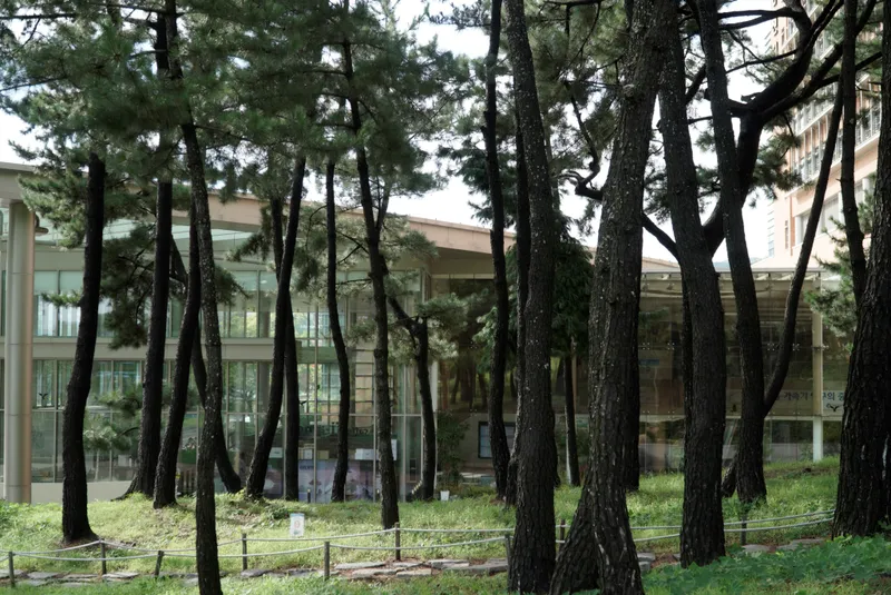 Dongnam-gwonjae-uihakwon Wonjae Hospital