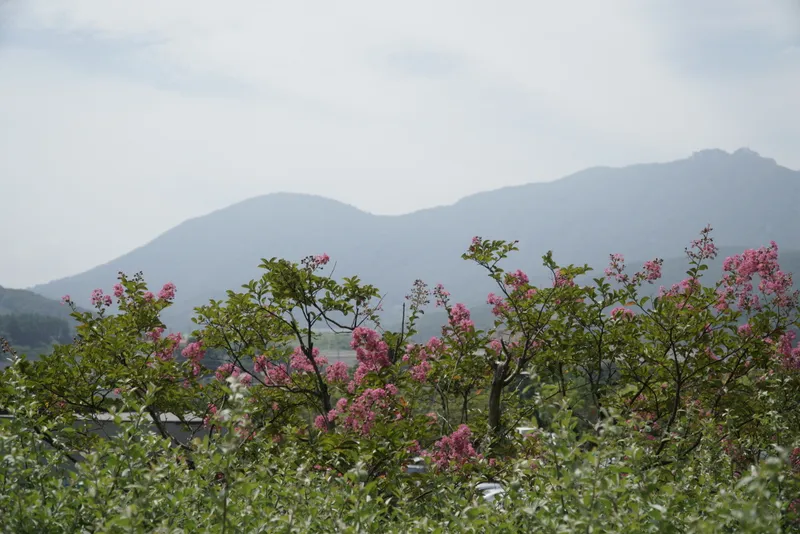 Dongnam-gwonjae-uihakwon Wonjae Hospital