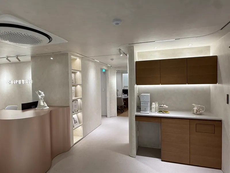 Yonsei UP Plastic Surgery