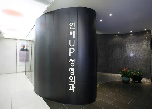 Yonsei UP Plastic Surgery
