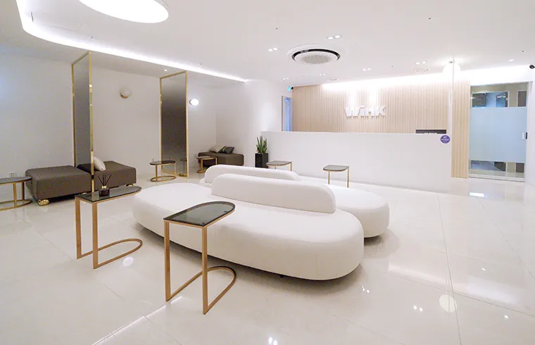 Wink Plastic Surgery Clinic
