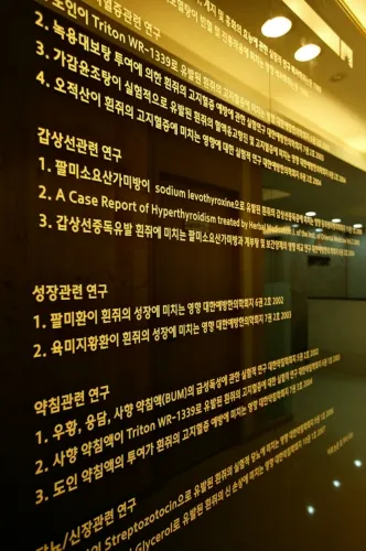 Uimyeong Korean Medicine Clinic
