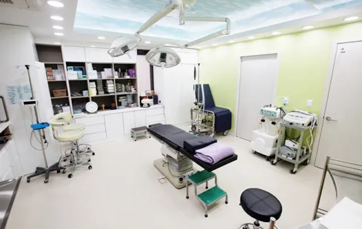 Apgujeong Avenue Plastic Surgery Clinic