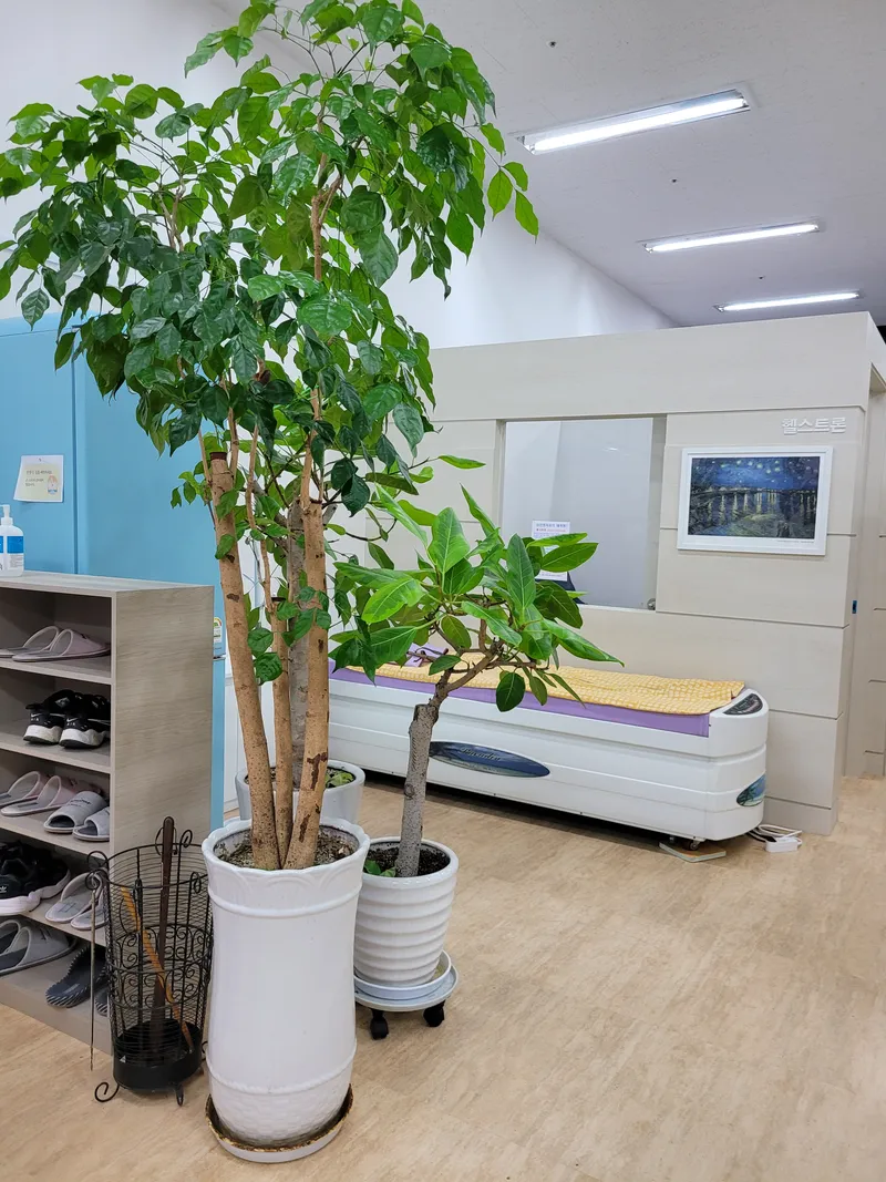 Sejong Korean Medicine Clinic