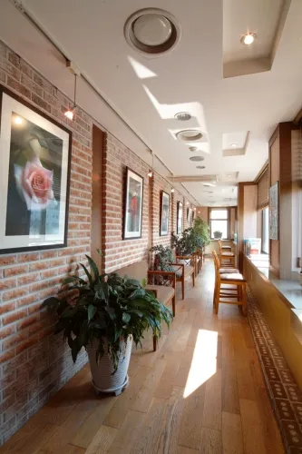 SeMo Dental Clinic