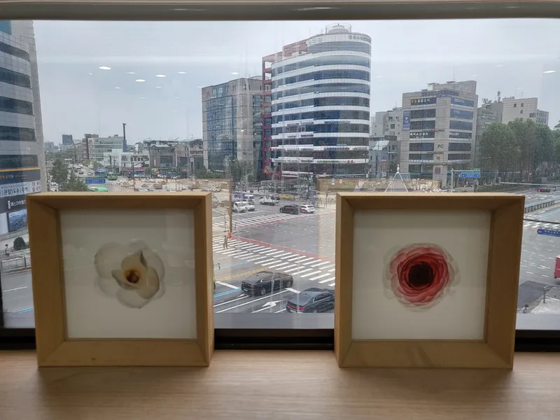 사과꽃치과의원