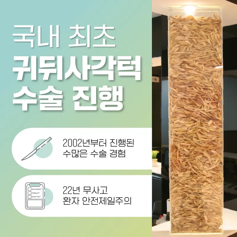O In Plastic Surgery Clinic