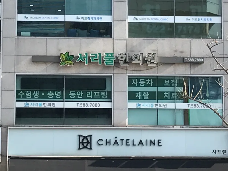 Seoripul Korean Medicine Clinic