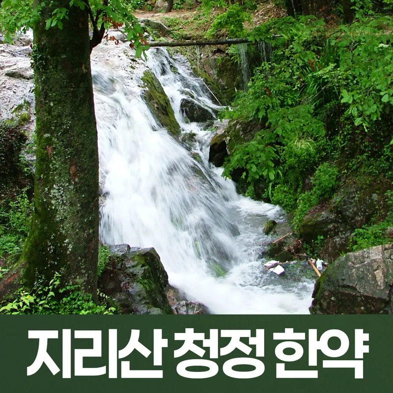 Jirisan Ssanggye Clinic