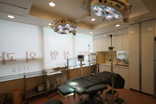Smart Plastic Surgery Clinic
