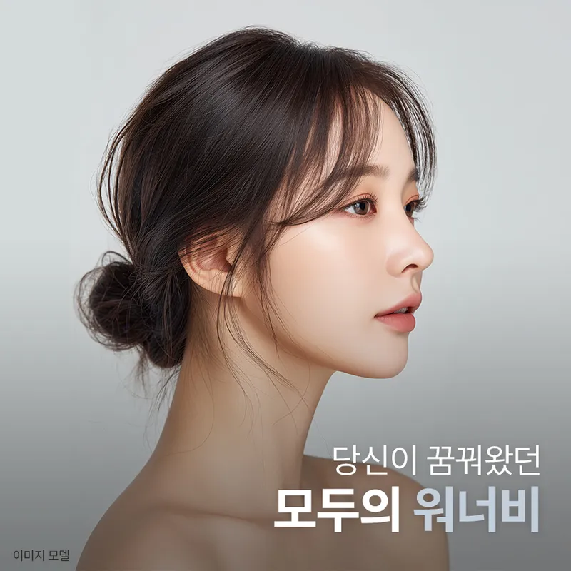 Wannabe Plastic Surgery Clinic