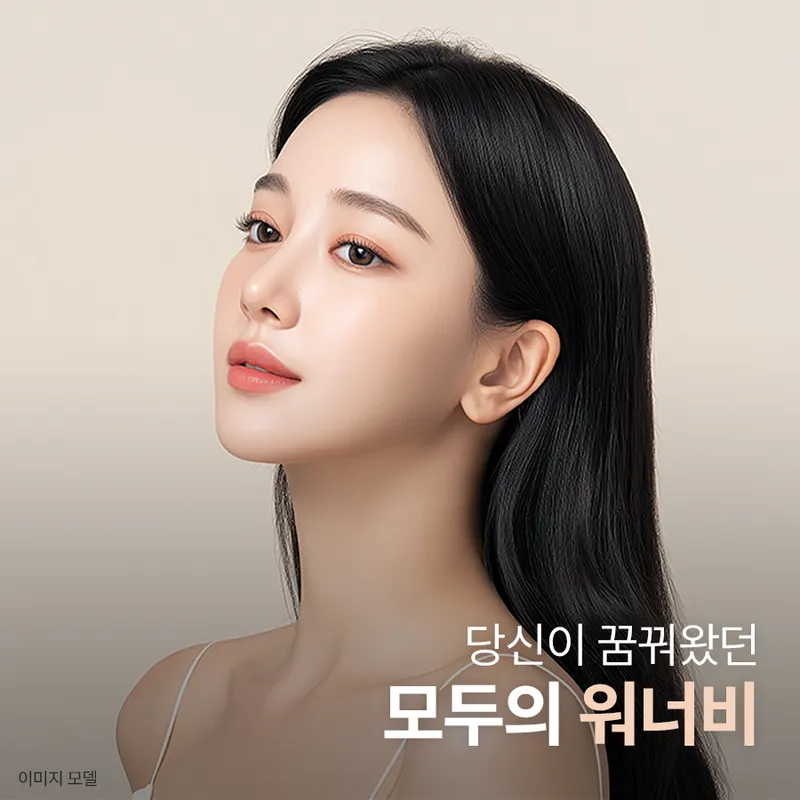 Wannabe Plastic Surgery Clinic