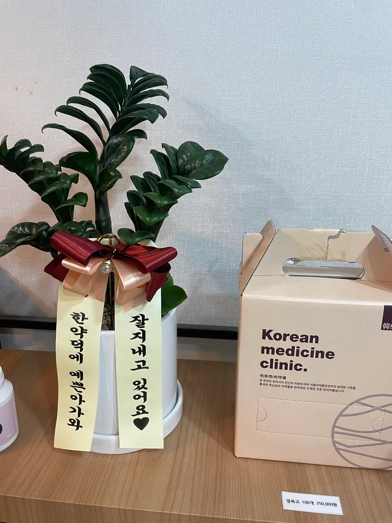 Clear Forest 365 Clinic