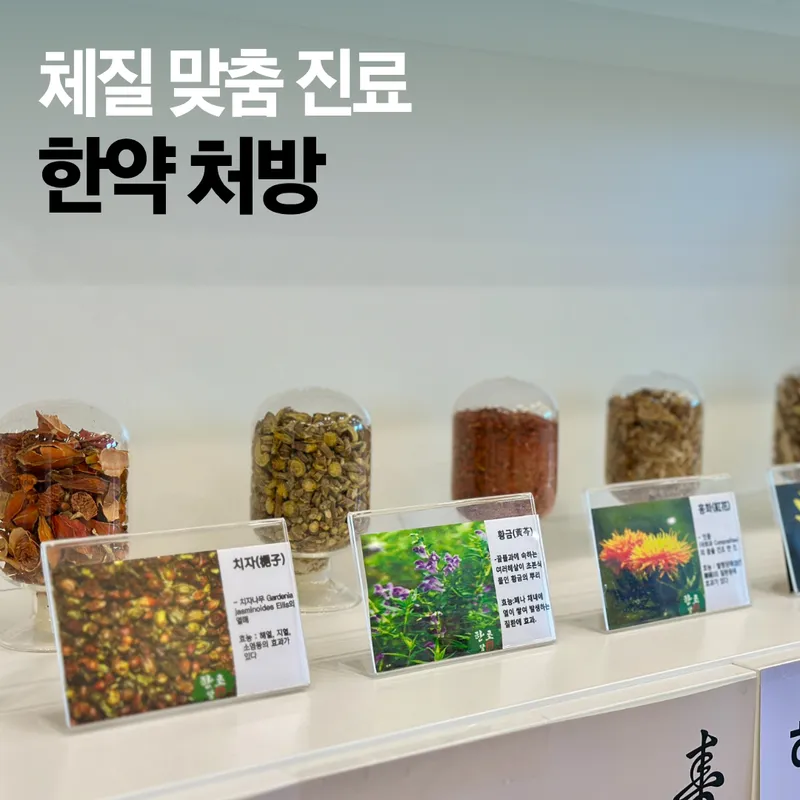Ilssang-ui Korean Medicine Clinic