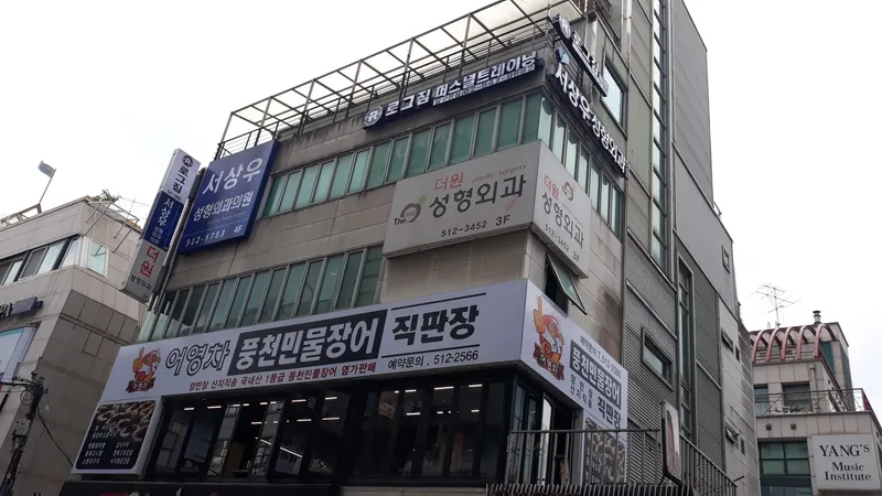 Seo Sang Woo Plastic Surgery Clinic