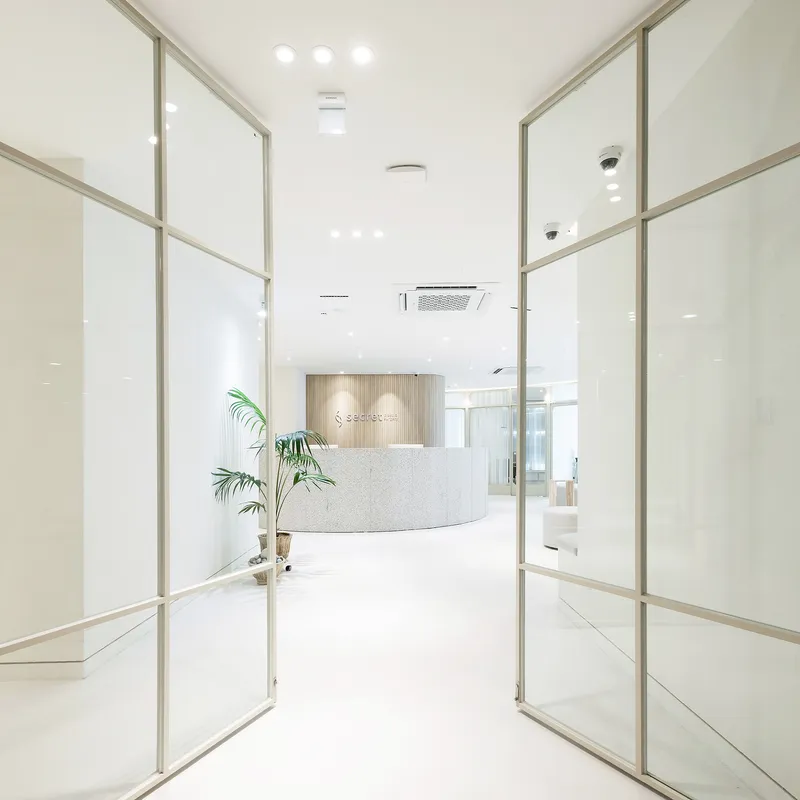 Secret Plastic Surgery Clinic
