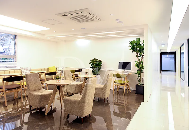 Diva Plastic Surgery Clinic