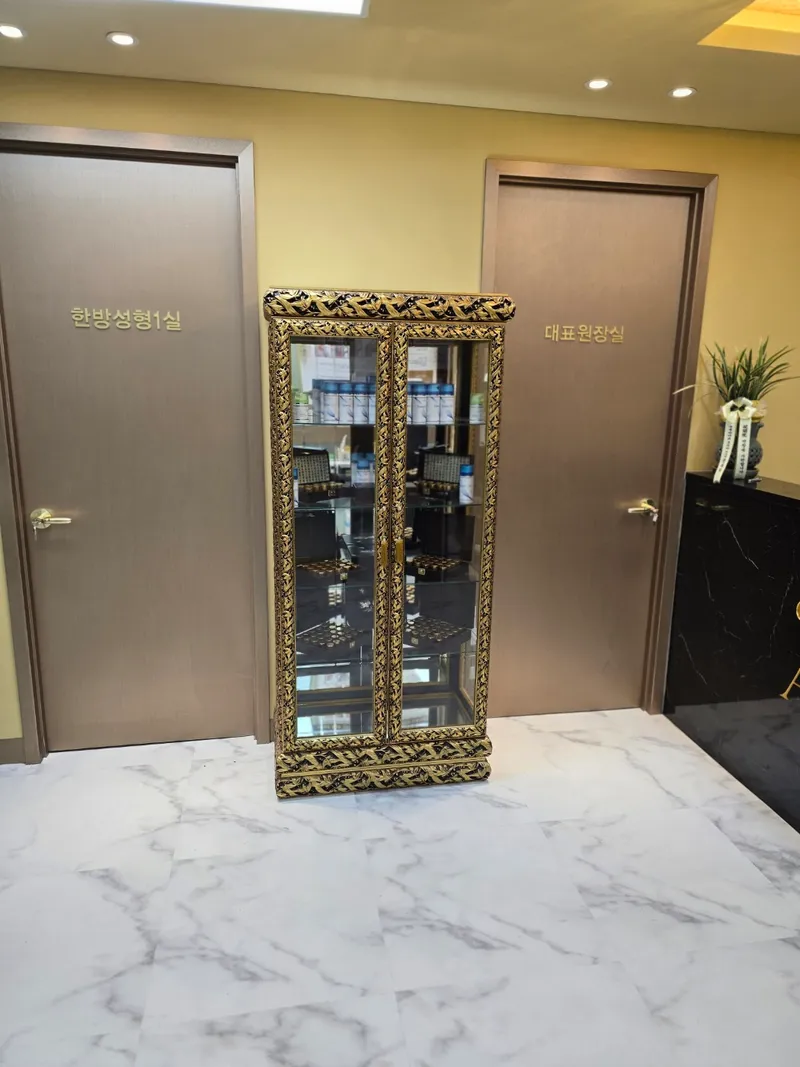 Apgujeong Lin Body Korean Medicine Clinic