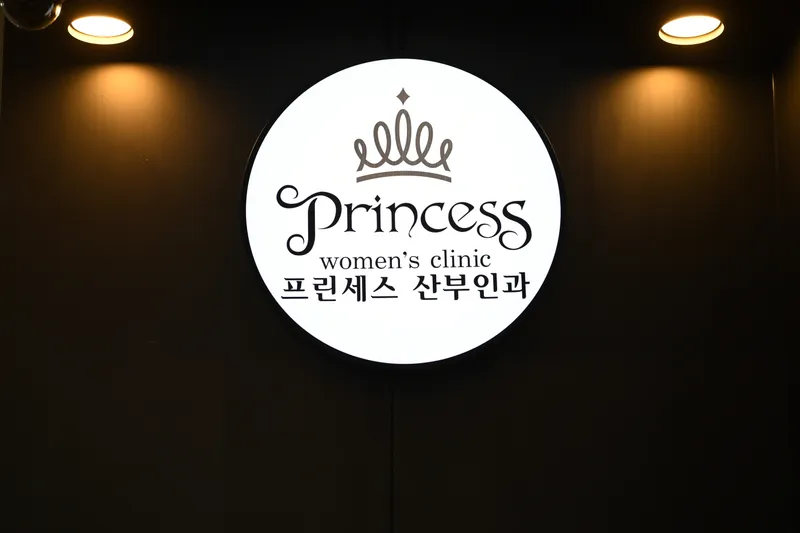 Princess Obstetrics and Gynecology Clinic