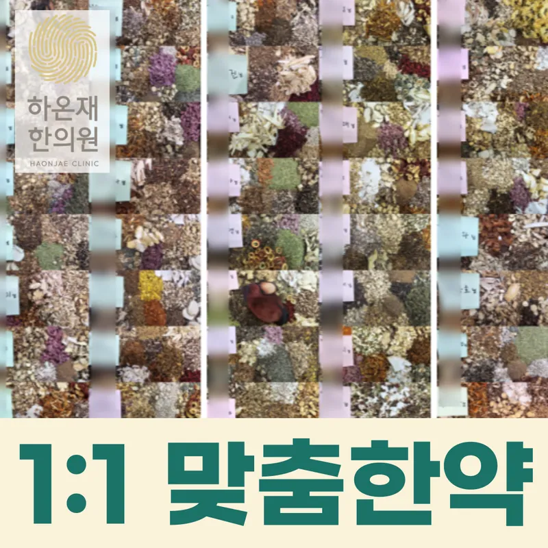 Gyeonghui Haonjae Korean Medicine Clinic