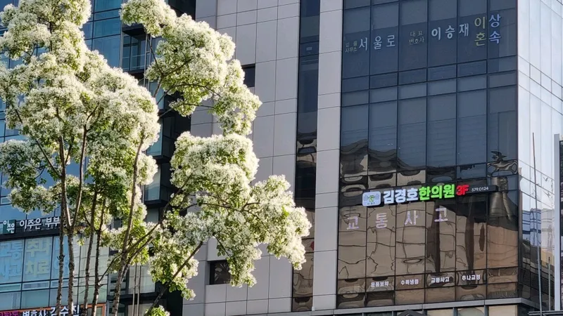 Yangjae Kim Kyung-ho Clinic