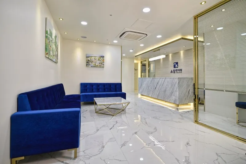 Soham Clinic Gangnam