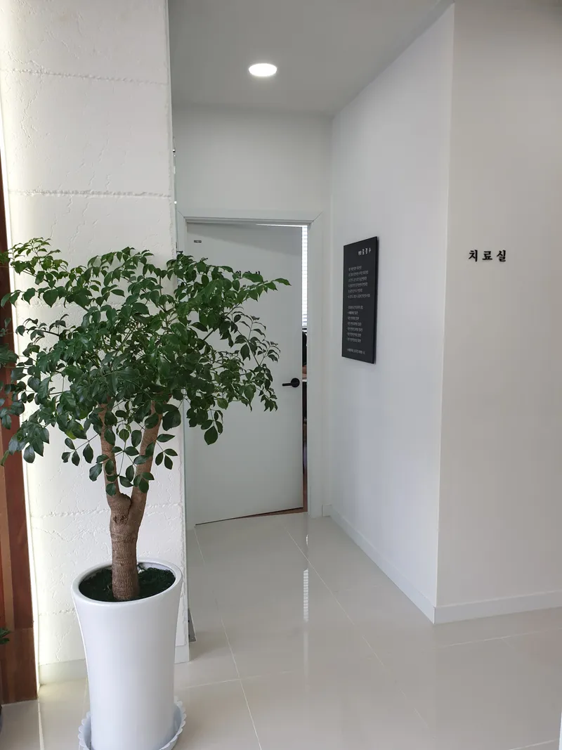 Gyeore Korean Medicine Clinic