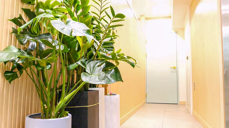 Bone Cure Korean Medicine Clinic