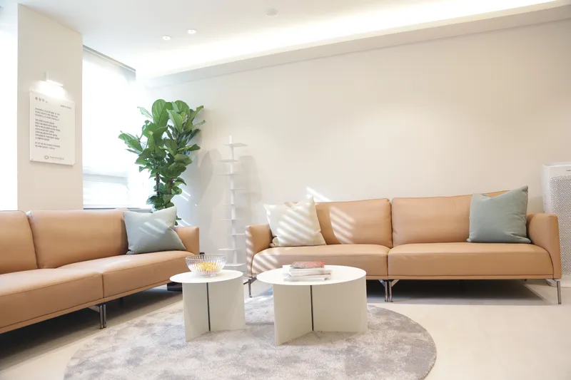 Yonsei Aizu Plastic Surgery Clinic